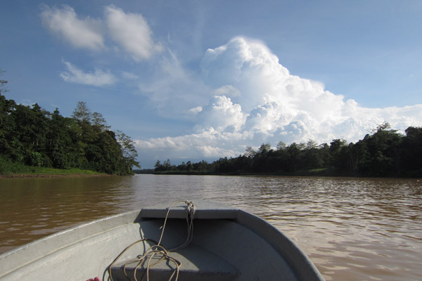 Dreigende wolken boven de jungle